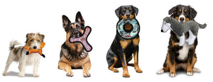 Dog Toys for Puppies, Small Dogs, Medium Sized Dogs and Large Breeds