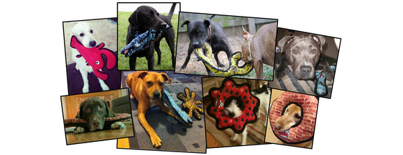 Tough and Durable Dog Toys